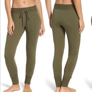 COPY - free people sunny skinny sweatpants